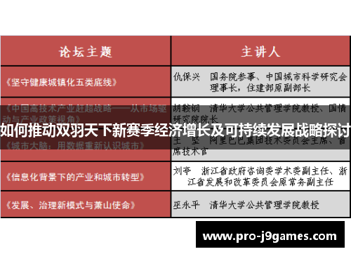 如何推动双羽天下新赛季经济增长及可持续发展战略探讨