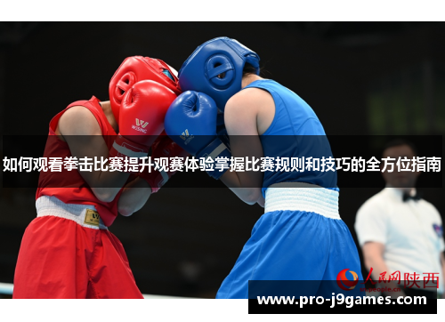 如何观看拳击比赛提升观赛体验掌握比赛规则和技巧的全方位指南