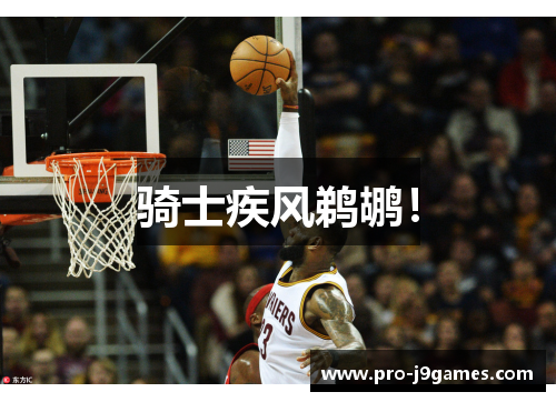 骑士疾风鹈鹕! 骑士疾风鹈鹕!